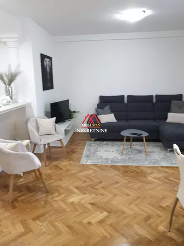 Vase Stajića