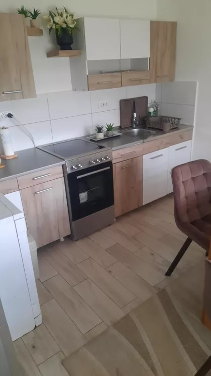 Ruža Šulman | 4zida.rs