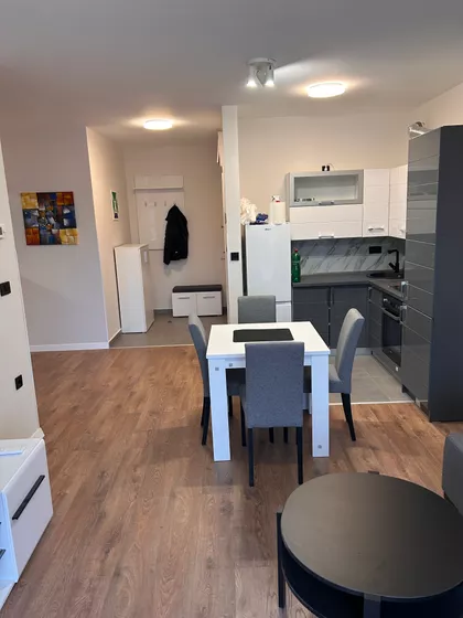 Trg Cara Jovana Nenada | 4zida.rs