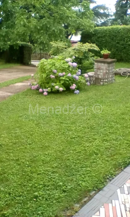 Dolska | 4zida.rs