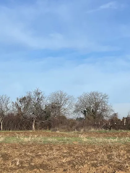 Mišeluk 3 | 4zida.rs