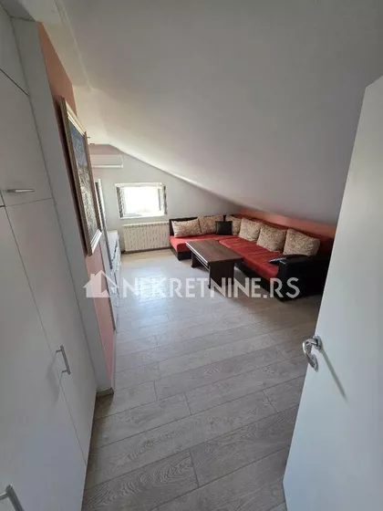 Dr Ivana Ribara | 4zida.rs