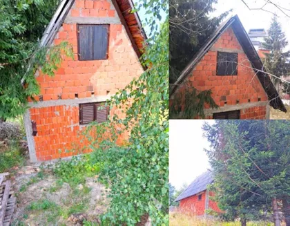 Steva Žigona | 4zida.rs