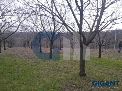 Stanojeva livada | 4zida.rs