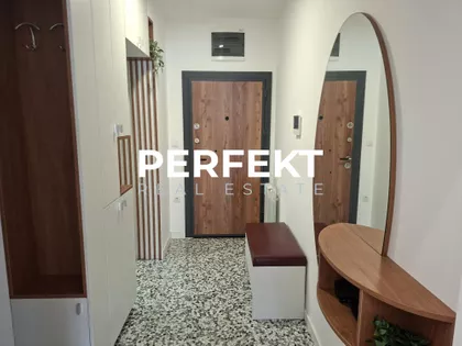 Lava Tolstoja | 4zida.rs