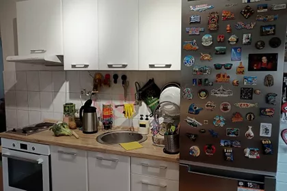 Živka Davidovića | 4zida.rs