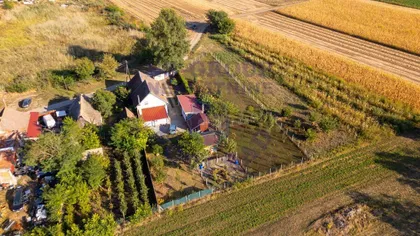 Kisač | 4zida.rs