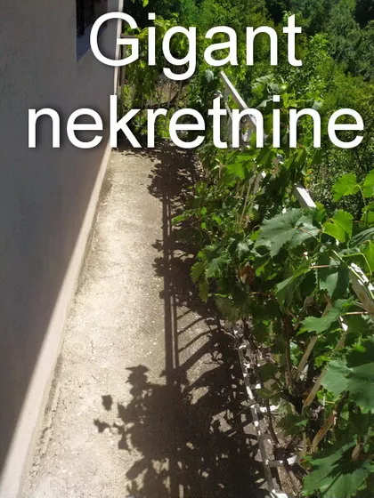 Niš - Palilula | 4zida.rs