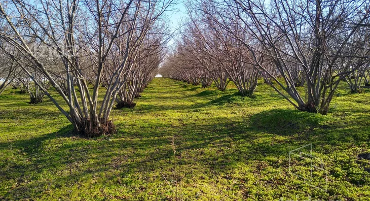 Poljoprivredno zemljište | 4zida