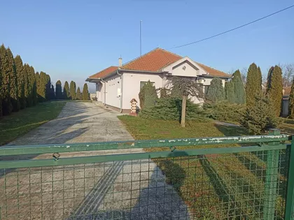 Glušci | 4zida.rs