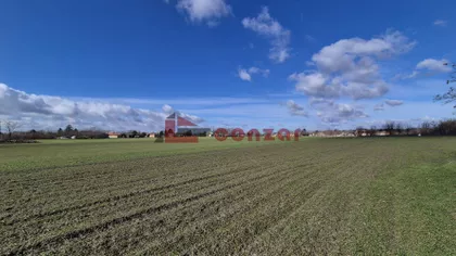 Srpski Šor | 4zida.rs