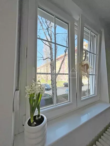 Stara Detelinara | 4zida.rs