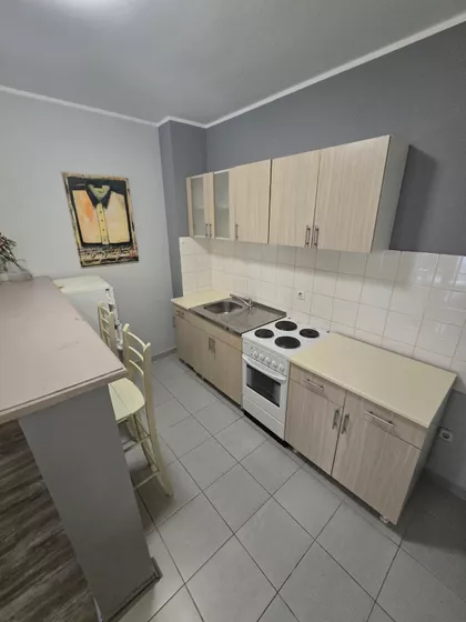 Janka Čmelika | 4zida.rs