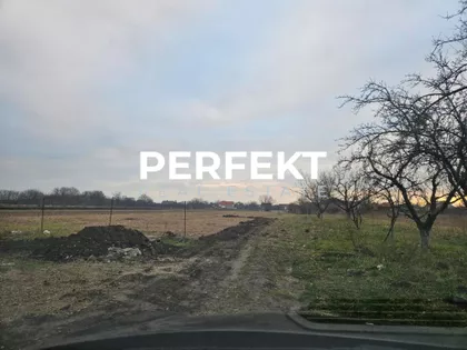 Šarplaninska | 4zida.rs