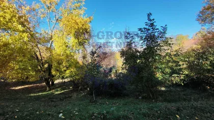 Popovica | 4zida.rs