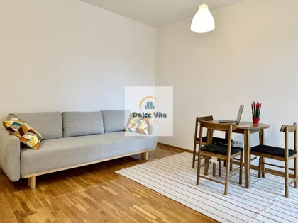 Dragoslava Srejovića | 4zida.rs