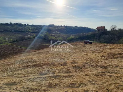 Brestovnik | 4zida.rs