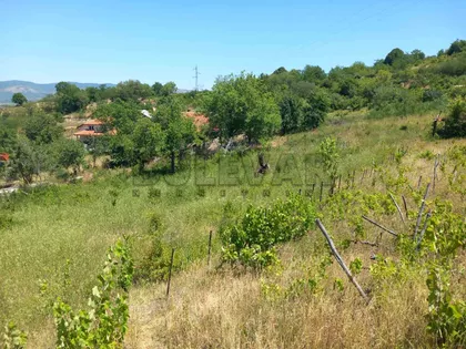 Miladina Popovića | 4zida.rs