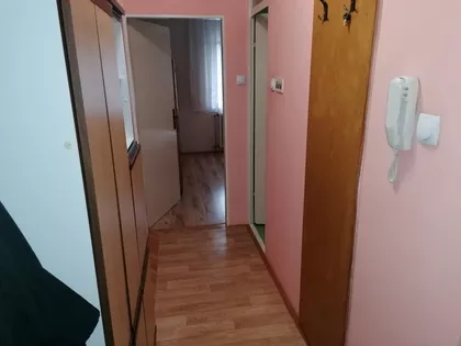 Radijalac | 4zida.rs