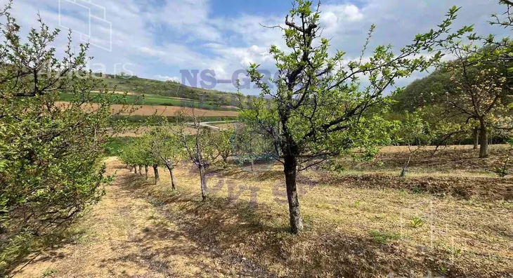 Poljoprivredno zemljište | 4zida