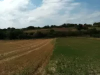Rivica, Okolne lokacije, Irig | 4zida.rs