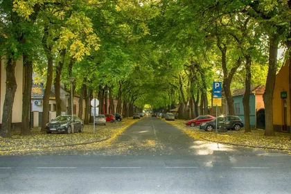 Generala Drapšina | 4zida.rs