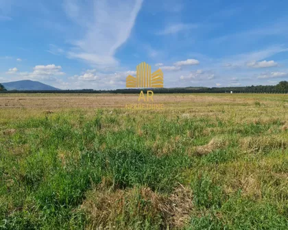 Banja | 4zida.rs