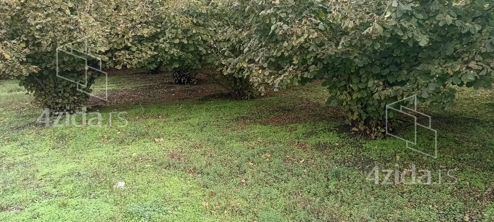 Poljoprivredno zemljište | 4zida