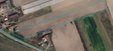Bački Vinogradi