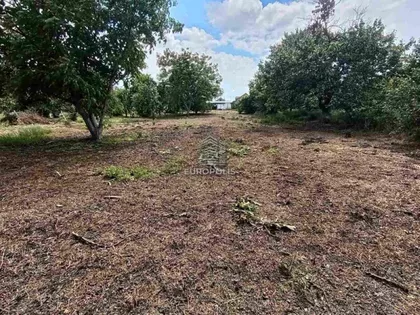 Surčin (mesto) | 4zida.rs
