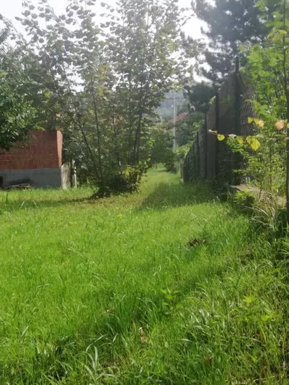 Sremska Kamenica | 4zida.rs