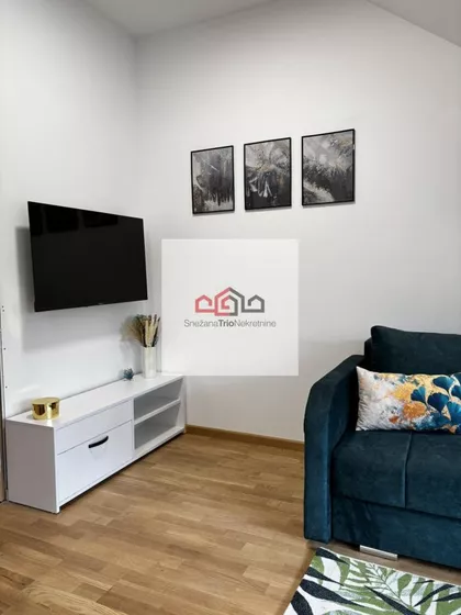 Salajka | 4zida.rs