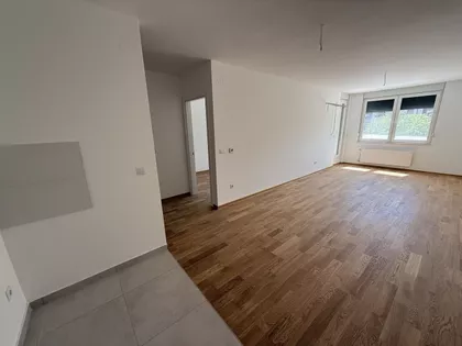 Bulevar Patrijarha Pavla (Somborski Bulevar) | 4zida.rs