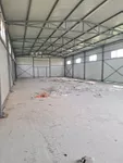 Hala | 4zida