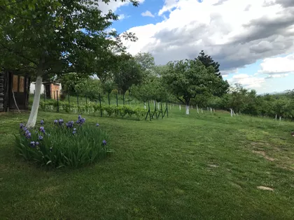 Fruškogorski Put | 4zida.rs