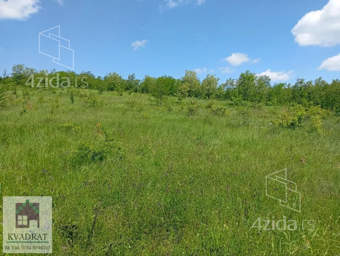 Plac | 4zida