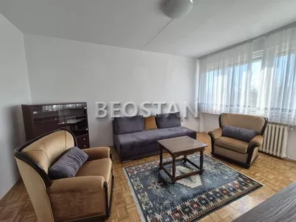 Dr Ivana Ribara | 4zida.rs