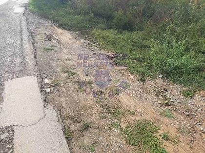 Alibegovac | 4zida.rs