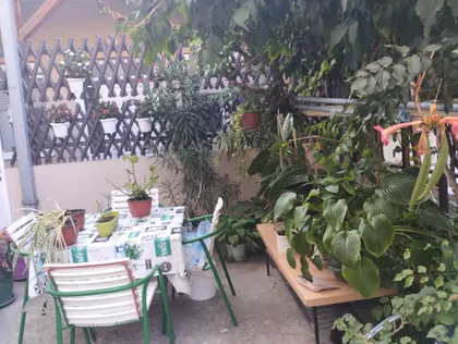 Skender-Begova 19 | 4zida.rs