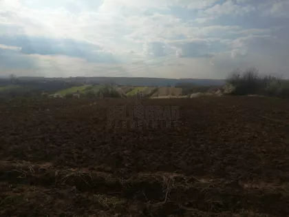 Kosinac | 4zida.rs