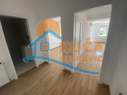 Cara Dušana | 4zida.rs