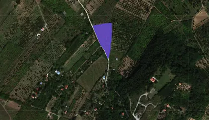Pasuljište | 4zida.rs
