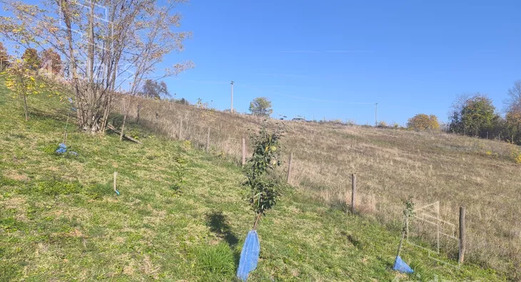 Poljoprivredno zemljište | 4zida