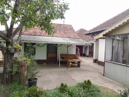 Bački Vinogradi | 4zida.rs