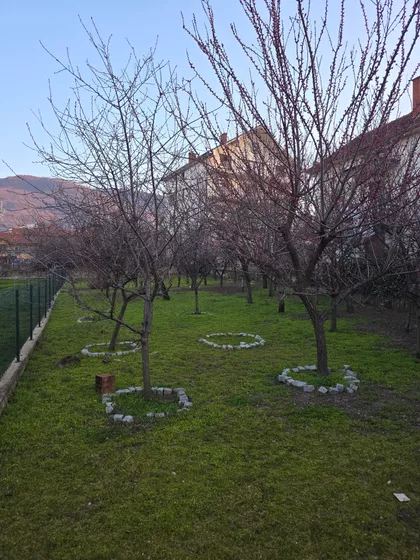 Dubrovačka | 4zida.rs