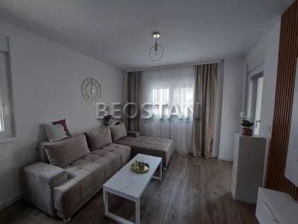 Živojina Zujovića | 4zida.rs