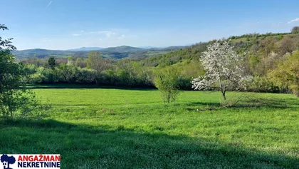 Bačevička | 4zida.rs