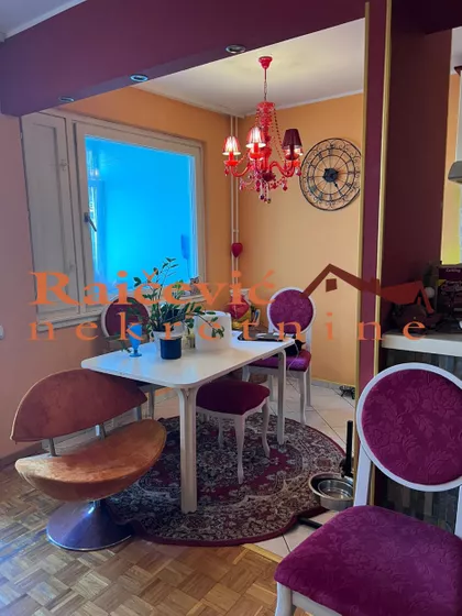 Dr Ivana Ribara | 4zida.rs