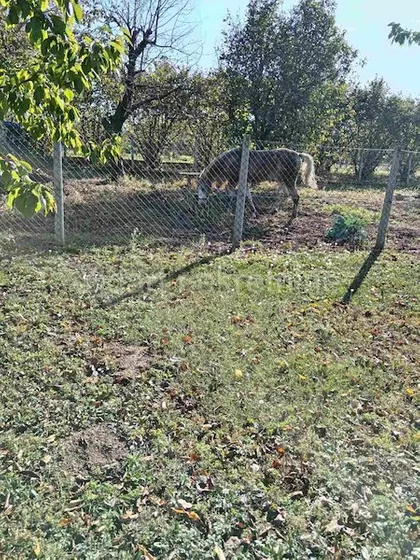 Svetosavska | 4zida.rs