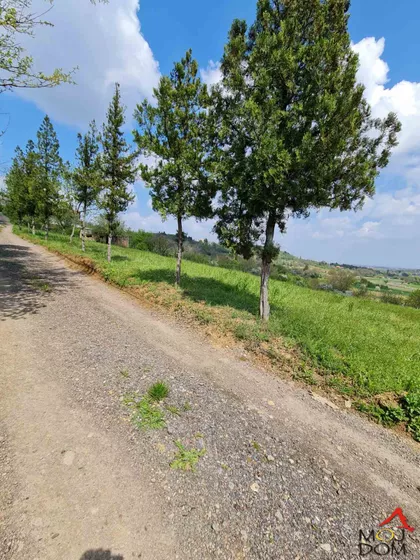 Čardak | 4zida.rs